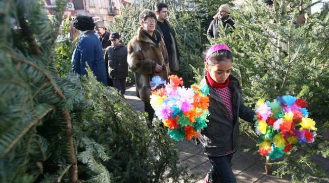 brazi ieftini de mos craciun