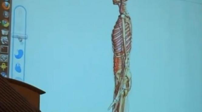 anatomie interactiva de la google