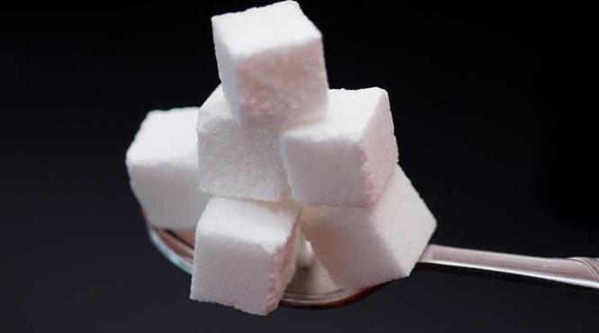 biblioteca zaharisita