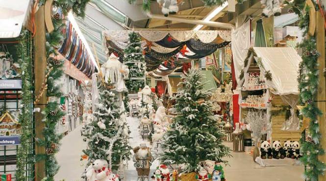 un nou magazin dedicat casei si gradinii s a deschis la balotesti