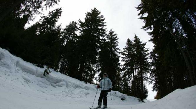 mosule fii bland cu noi da o bruma de zapada