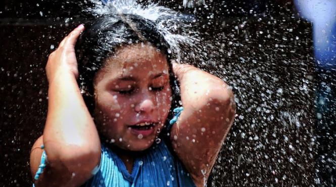 cod rosu de canicula in buenos aires