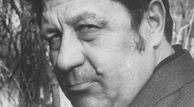 groapa capodopera supusa linsajului mediatic socialist