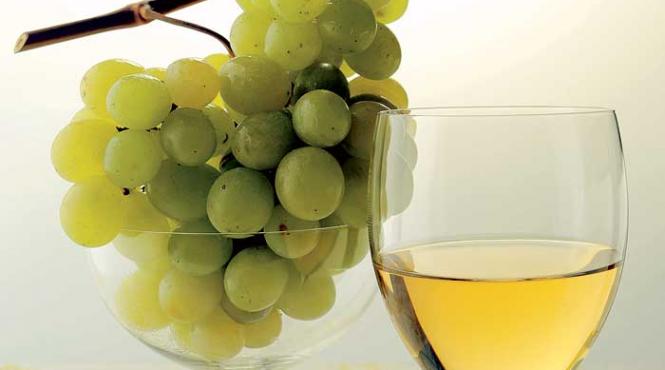 istoria vinului incepe in armenia