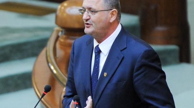 pdl suceava ponta este un mic pol pot de gorj