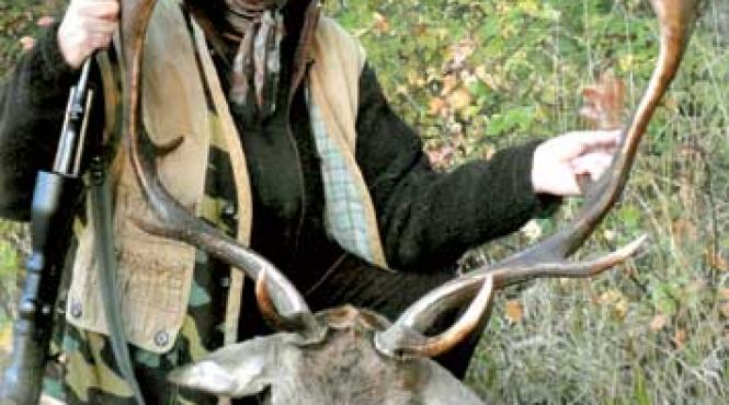 povestile artemisei din carpati