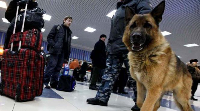 zece suspecti in cazul atentatului de pe aeroportul domodedovo