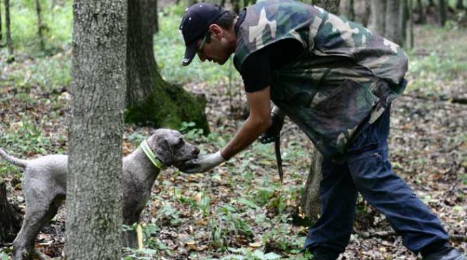 cautatori de comori prin padurile buzoiene