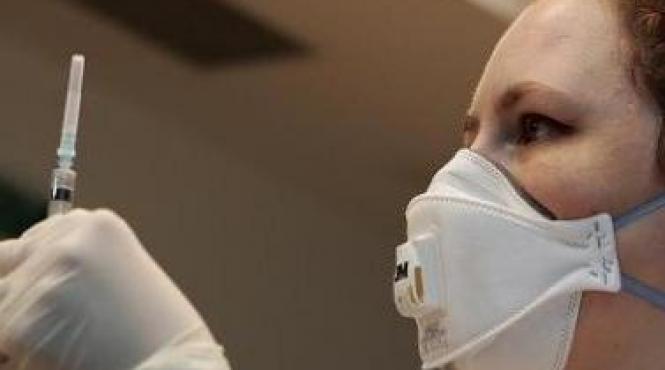 cazuri noi de gripa porcina confirmate in constanta