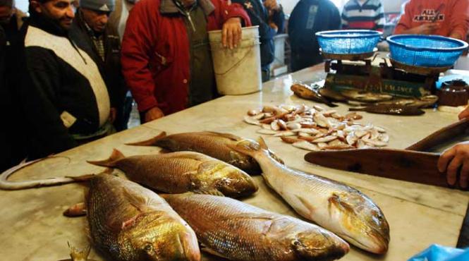 criza alimentara aduce scumpiri pe banda