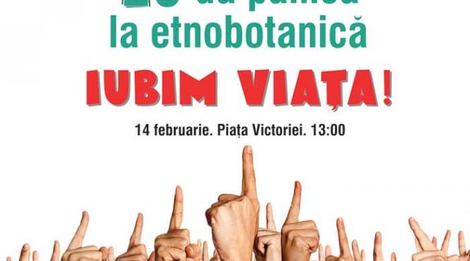 radio zu vs magazinele de vise