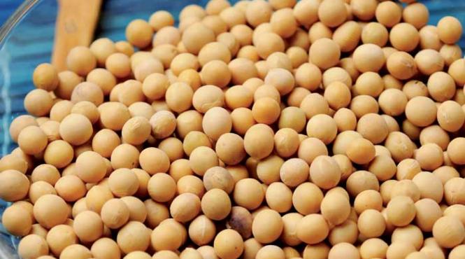 soia cultura miracol a vechilor chinezi