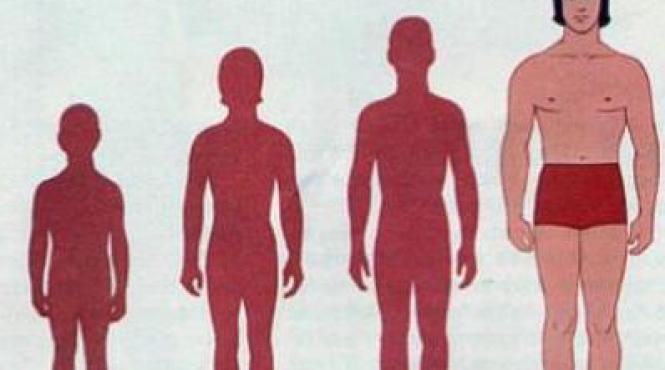 romanii au crescut cu 6 centimetri in inaltime in ultimii 30 de ani