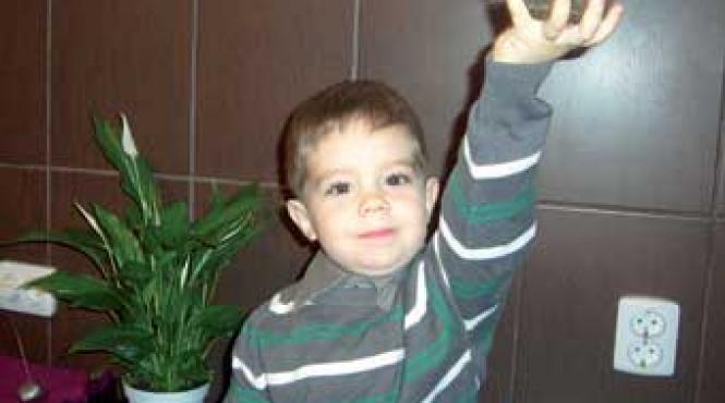 busuiocul regele plantelor