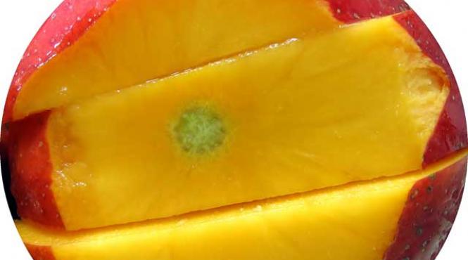 mango exotism