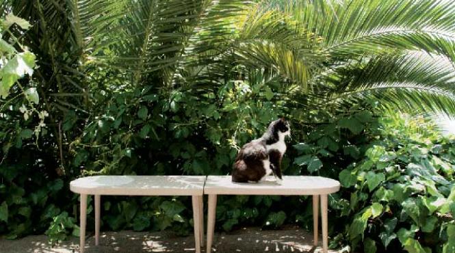 design made in turkey