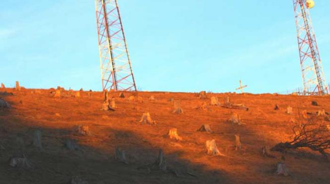 ecologia se ia de pe fotoliul de ministru