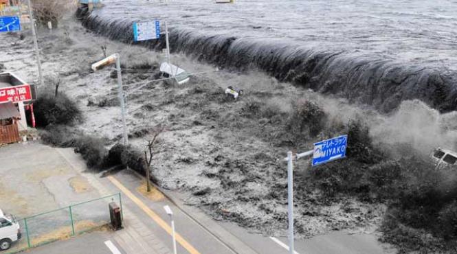 studiu japonez valul tsunami masura cel putin 23 de metri inaltime