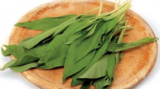 leurda de la salata la tinctura