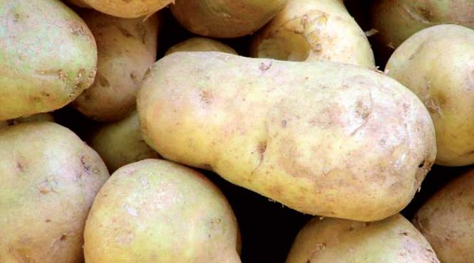 cartofii mult visati