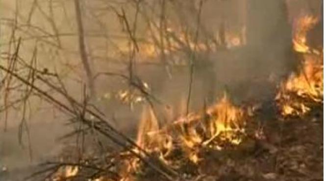 arde padurea de la nuseni bistrita