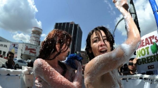 fete goale pe hollywood boulevard video