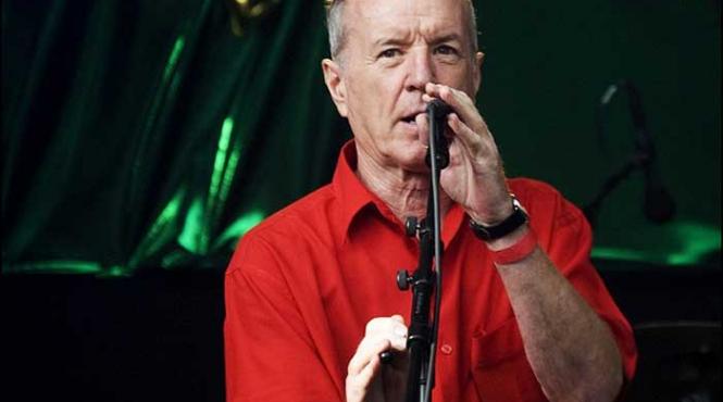 blues si rock n roll cu animals friends