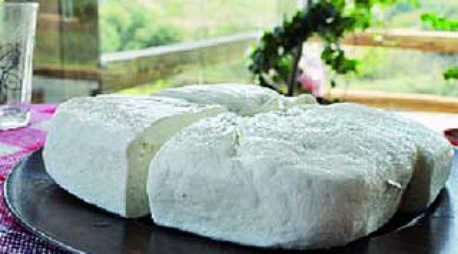 petroto un record de guinness book