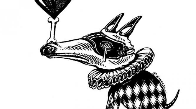 ham ham peste platforma lui cotoi pdl