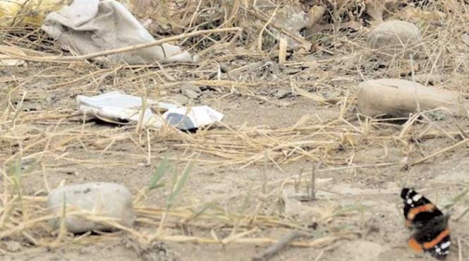 indeplinesti criteriile esti roman