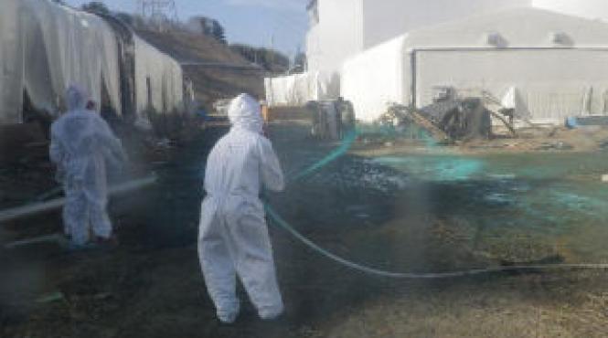 disperare la fukushima crapaturile sunt astupate cu rumegus si ziare