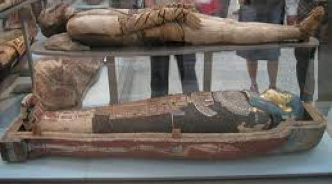 mumia printesei sclerozate