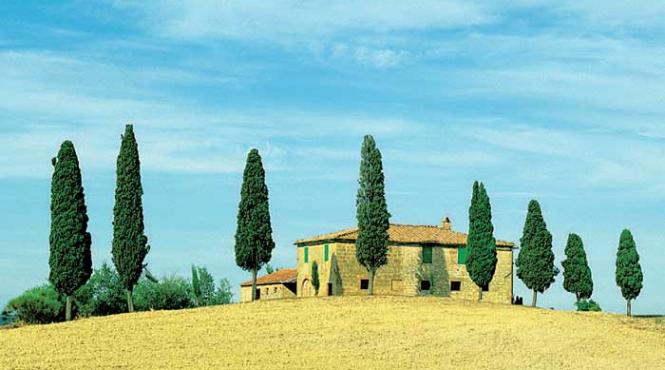 o gradina imensa sub cerul nesfarsit