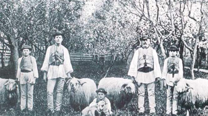 sambata ursului