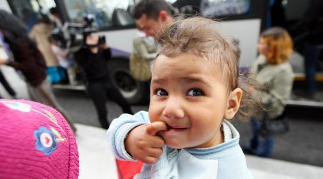 cadou de pasti de la francezi un lot de tigani repatriati