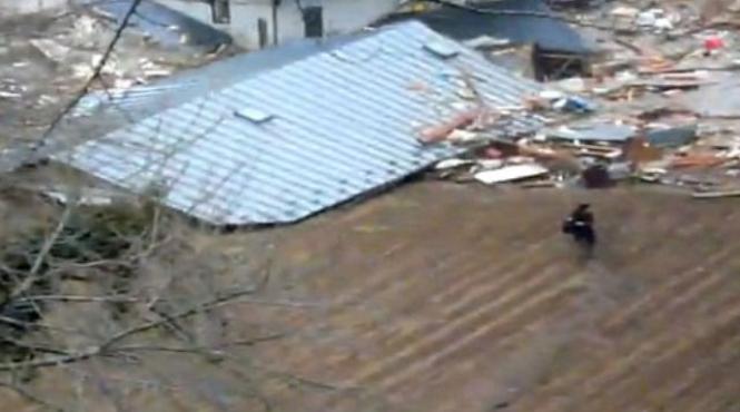 noi imagini terifiante surprinse in timpul devastatorului tsunami din 11 martie video