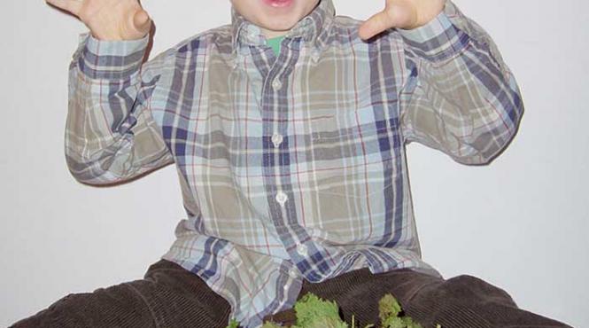 un strop intepator de sanatate