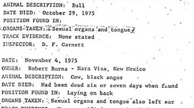 dosar fbi 8 000 de vaci rapite si mutilate de extraterestri