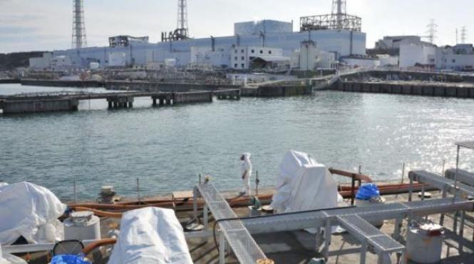 nivel crescut al substantelor radioactive in largul marii la fukushima