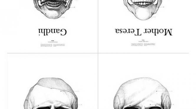 si craniile sunt celebre