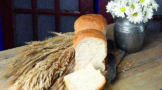 feriti va sa mestecati in dorul lelii