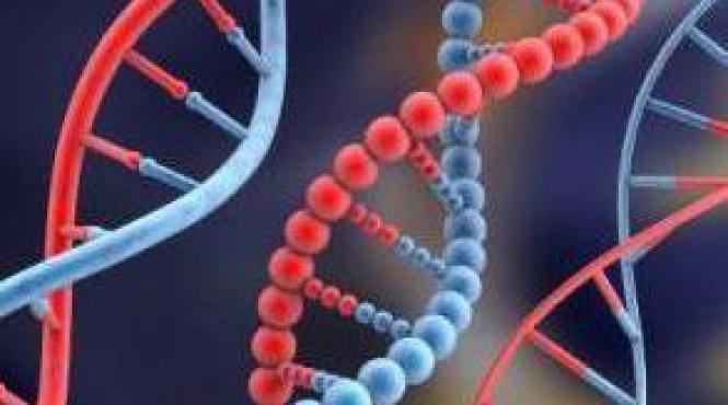 gene extraterestre in adn ul uman