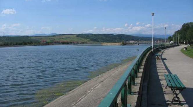 o alta eleva s a aruncat in jiu tanara salvata in ultimul moment