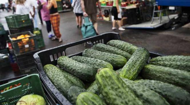 europa tremura de frica in fata castravetilor