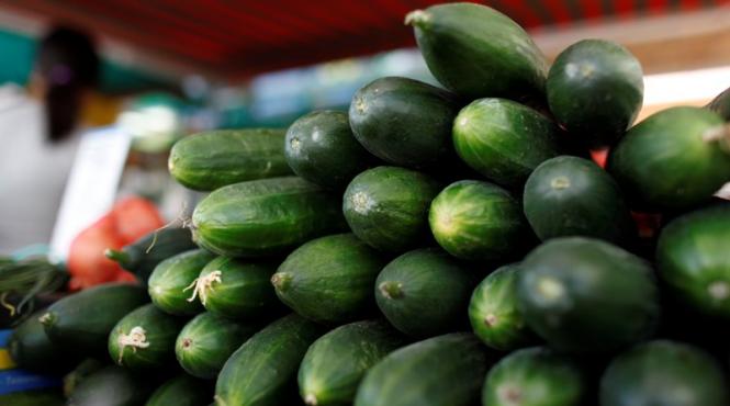 romania pierde zilnic 100 000 de euro din cauza psihozei castravetelui