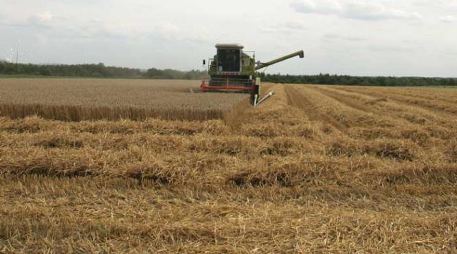 onu cere reglementarea speculatiilor care au scumpit mancarea