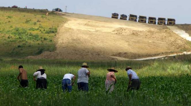 95 000 de romani castiga 1 280 de euro lunar muncind sezonier pe campurile germaniei