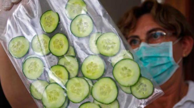 e coli un organism inteligent