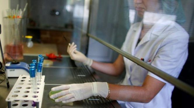 suspiciune de e coli in bulgaria