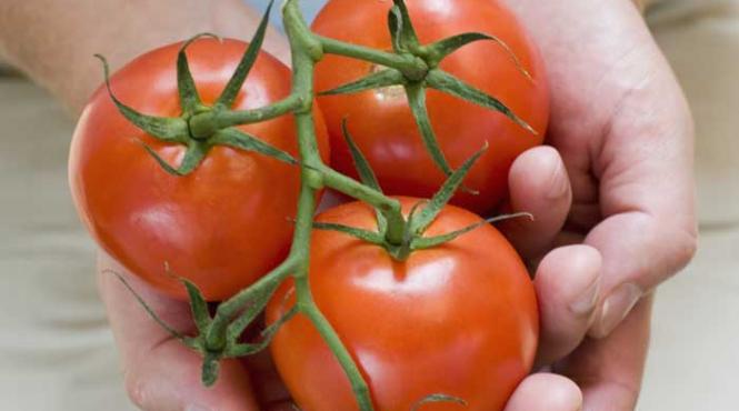 contra colesterolului rosii sau medicamente